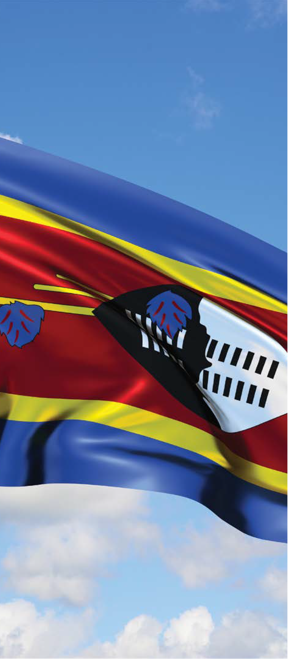 About Embiveni Flag